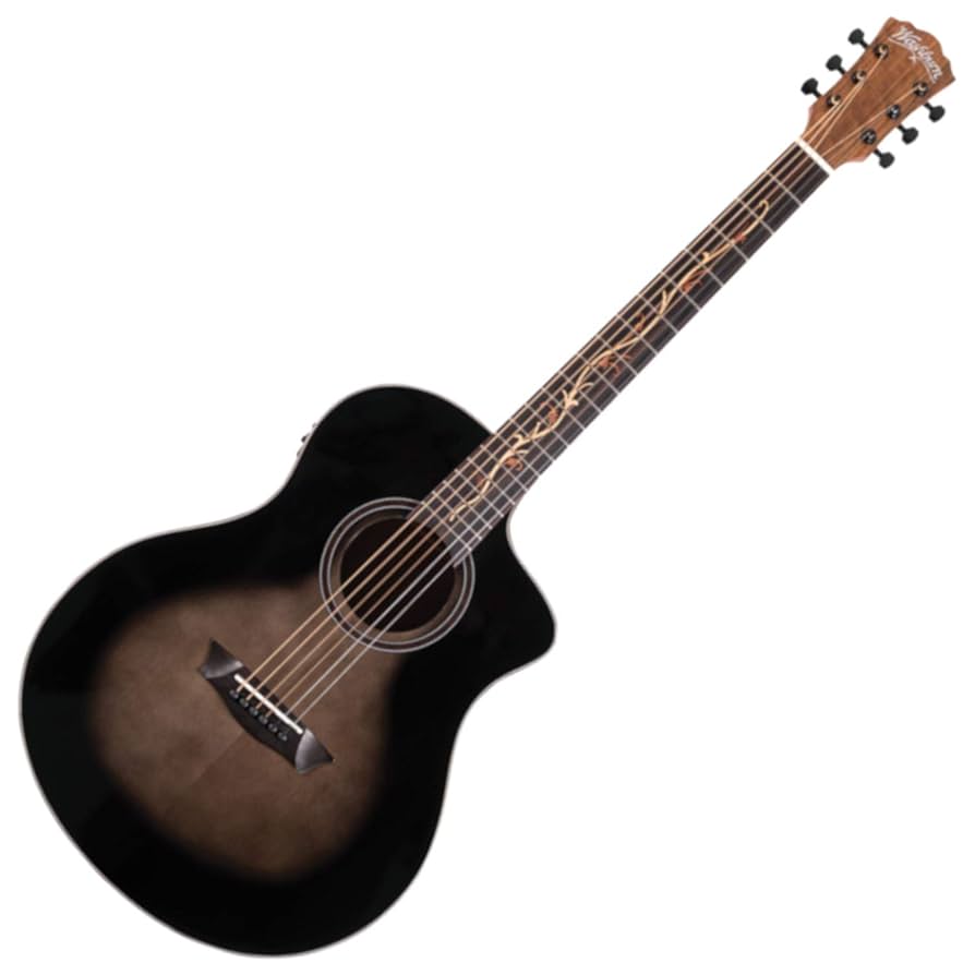 アコースティックギター　washburn Amazon.com: Washburn Festival Series 6 String Acoustic